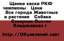 Щенки хаски РКФ чемпионы › Цена ­ 90 000 - Все города Животные и растения » Собаки   . Северная Осетия,Владикавказ г.